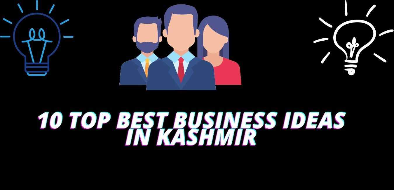 10 Top Best business ideas in Kashmir