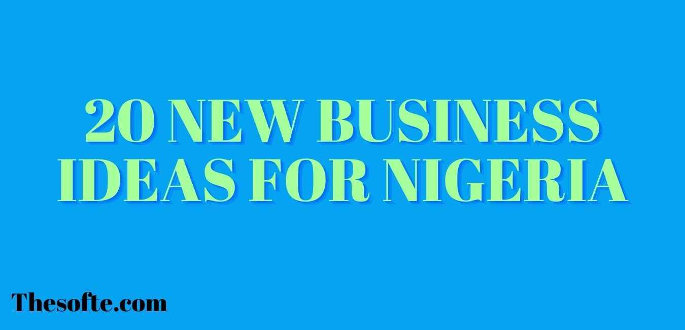 Top 20 New Business Ideas For Nigeria In 2022 | Thesofte