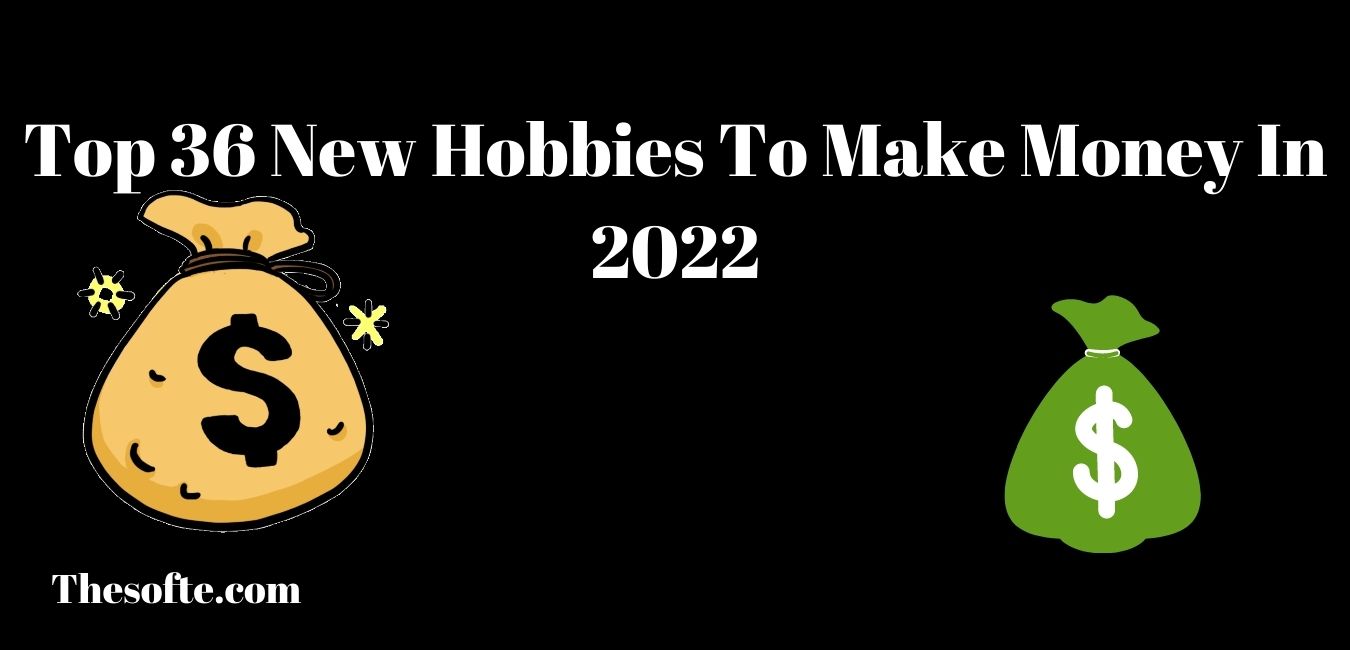 Top 36 New Hobbies To Make Money In 2022 | Thesofte