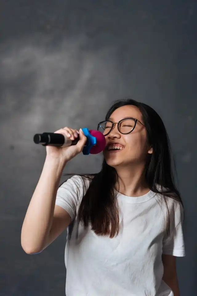 why Start A Karaoke Business