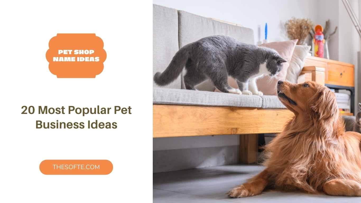 20 Most Popular Pet Business Ideas And Names For Pet Shop