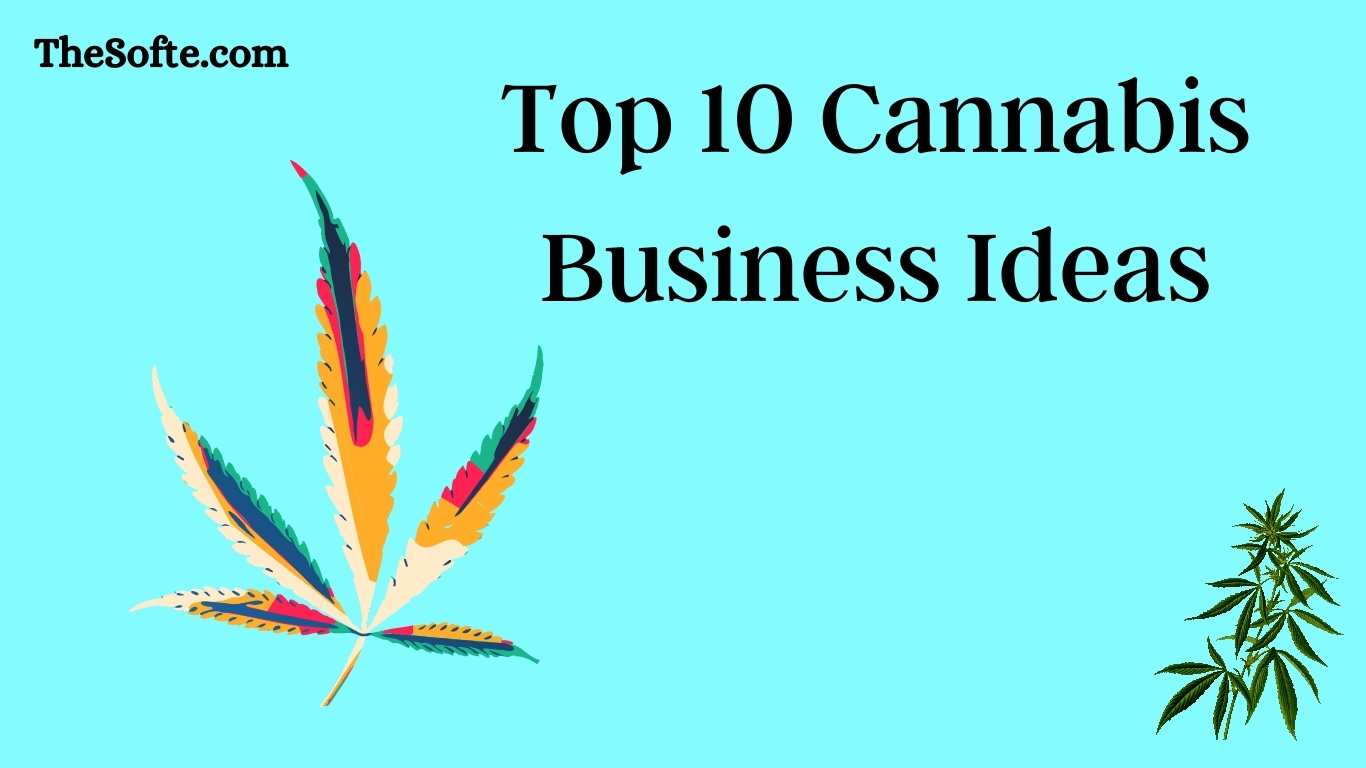Top 10 Cannabis Business Ideas [Make Money With Cannabis]